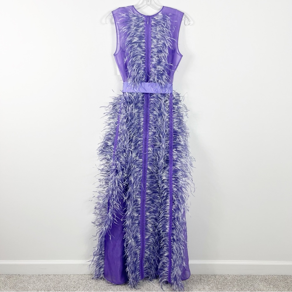 Huishan Zhang Beau Ostrich Feather Embellished Silk Organza Gown Size 6 NWT - Picture 6 of 10